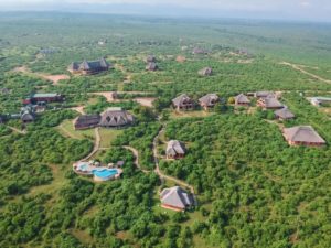 Buffalo-Safari-Lodge-1